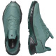 Salomon Alphacross 5 GTX